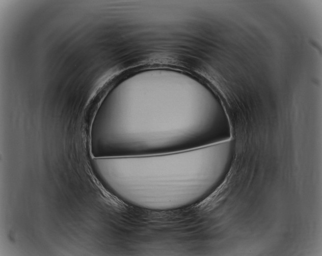 X0000098021115200803280747