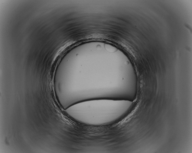 X0000098021117200803280747