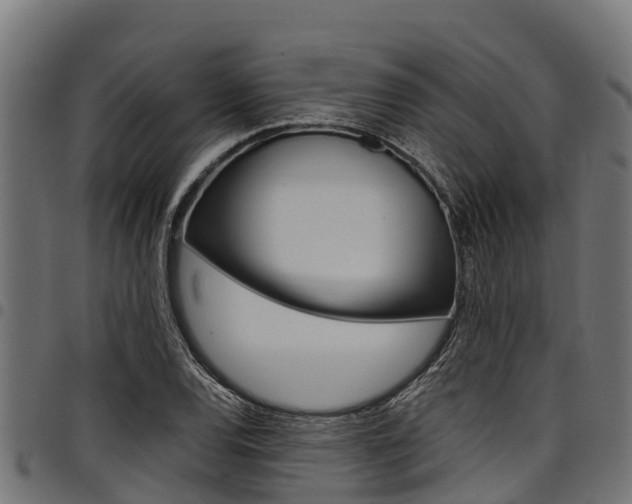 X0000098021120200803280747