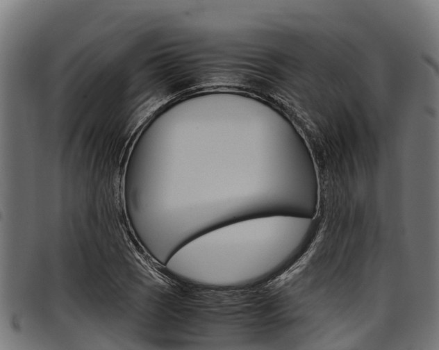 X0000098021121200803280747