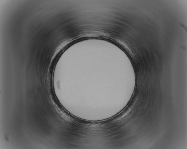 X0000098021122200803280747