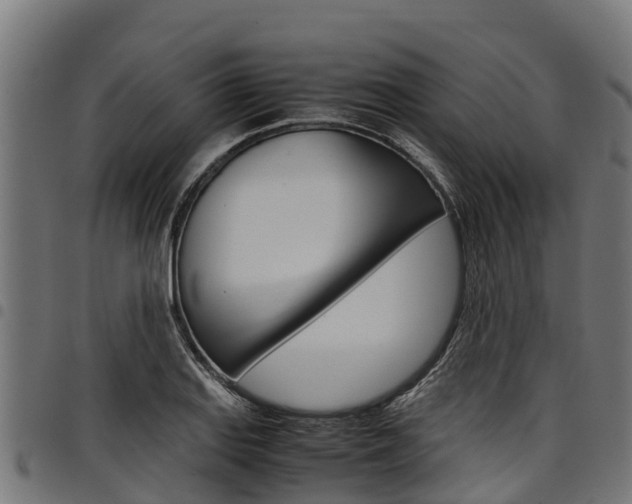 X0000098021127200803280747