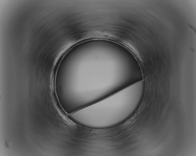 X0000098021128200803280747