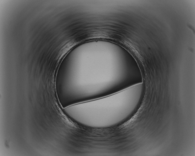 X0000098021129200803280747