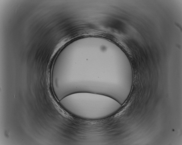 X0000098021130200803280747