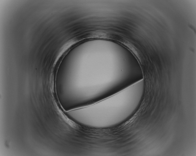 X0000098021131200803280747