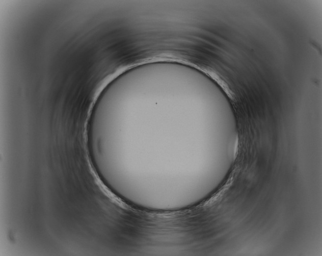 X0000098021134200803280747