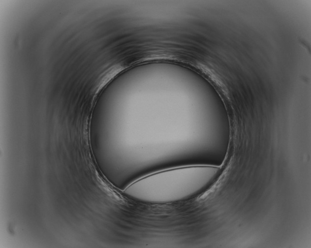 X0000098021137200803280747
