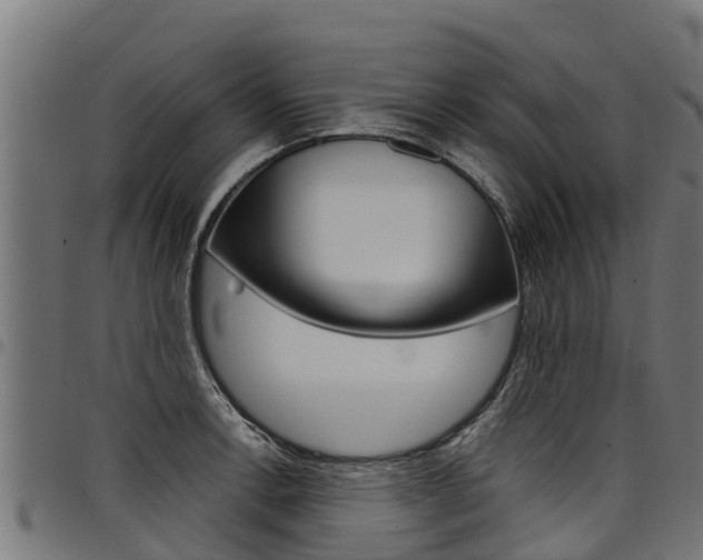 X0000098021138200803280747