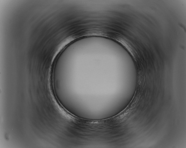 X0000098021139200803280747