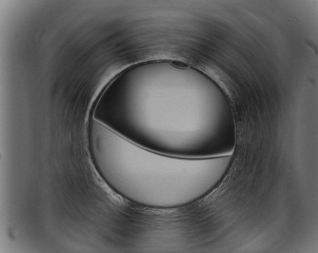 X0000098021140200803280747