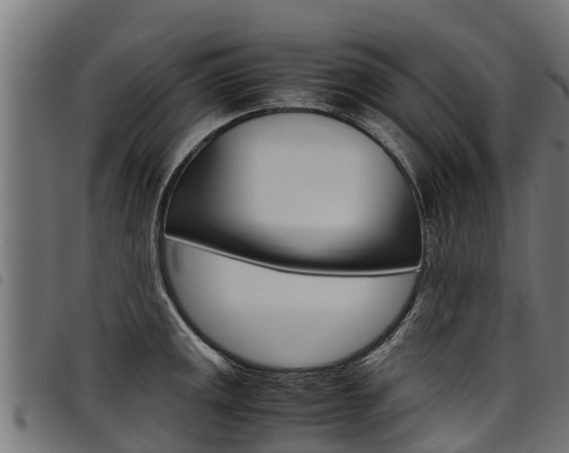 X0000098021141200803280747