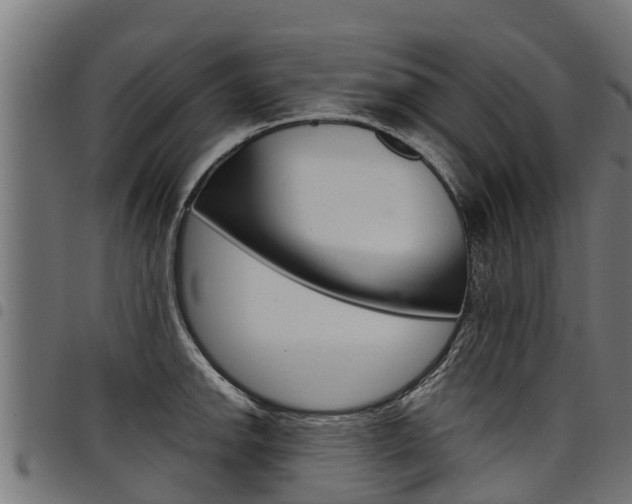 X0000098021142200803280747