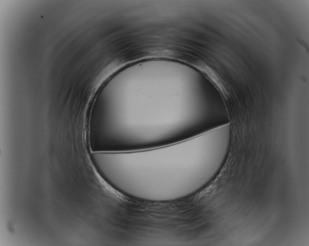 X0000098021143200803280747