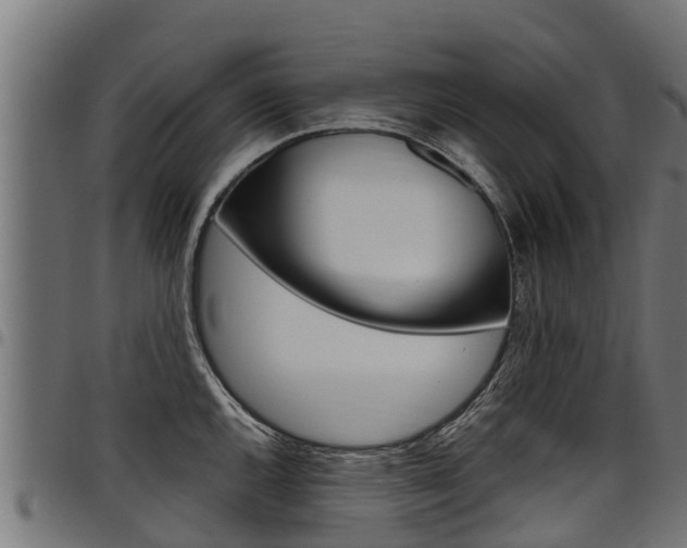X0000098021144200803280747