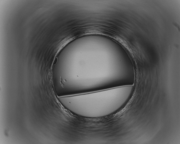 X0000098021145200803280747