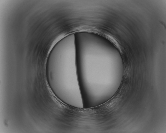 X0000098021146200803280747