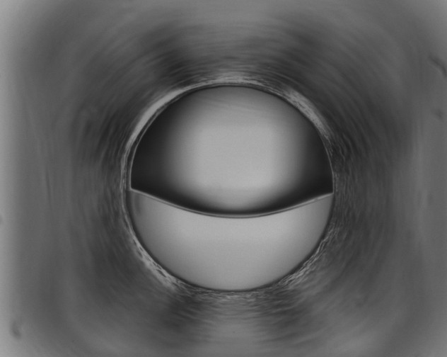 X0000098021148200803280748