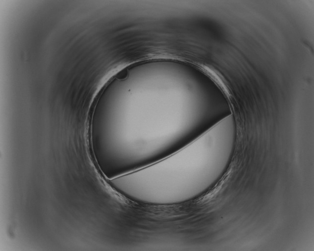 X0000098021149200803280748