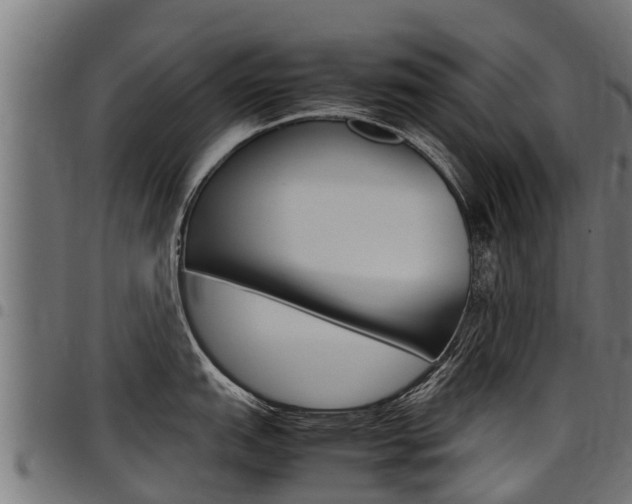 X0000098021151200803280748