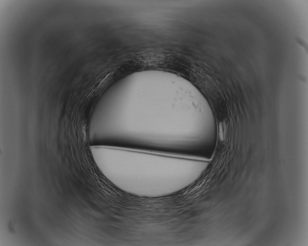 X0000098021155200803280747