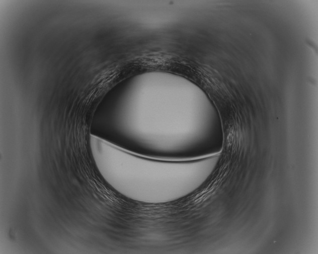 X0000098021156200803280747
