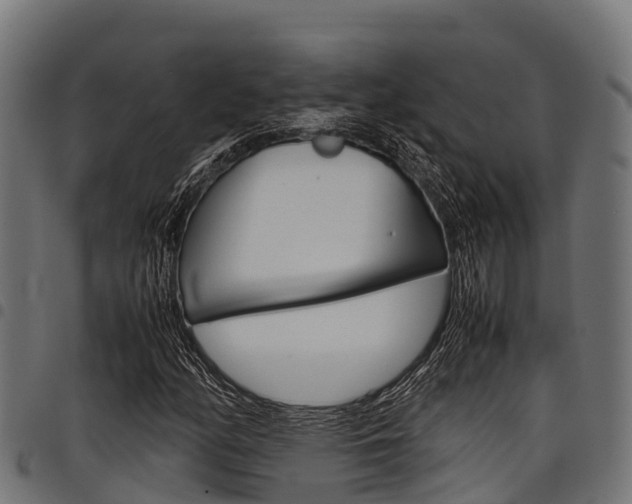 X0000098021158200803280747