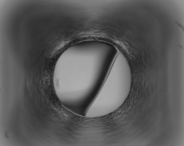 X0000098021159200803280747