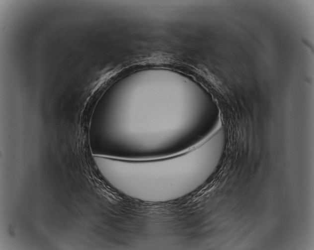 X0000098021160200803280747