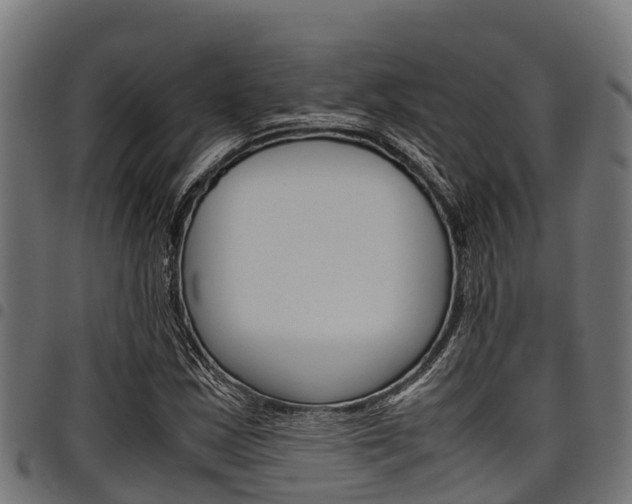 X0000098021163200803280747