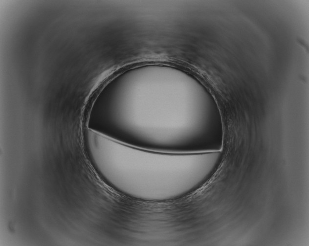 X0000098021168200803280747