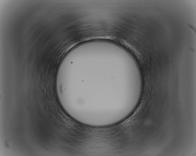 X0000098021169200803280747