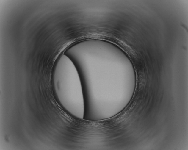 X0000098021170200803280747
