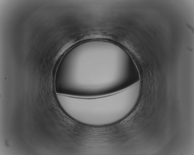 X0000098021173200803280747