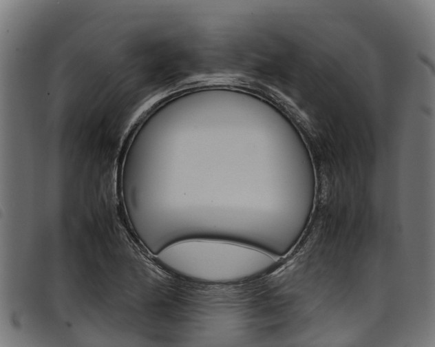 X0000098021174200803280747