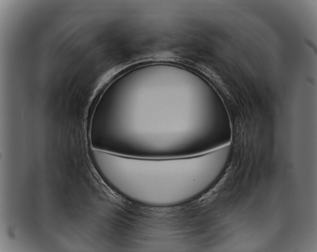 X0000098021176200803280747