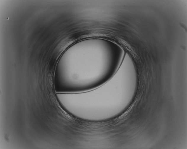 X0000098021177200803280747
