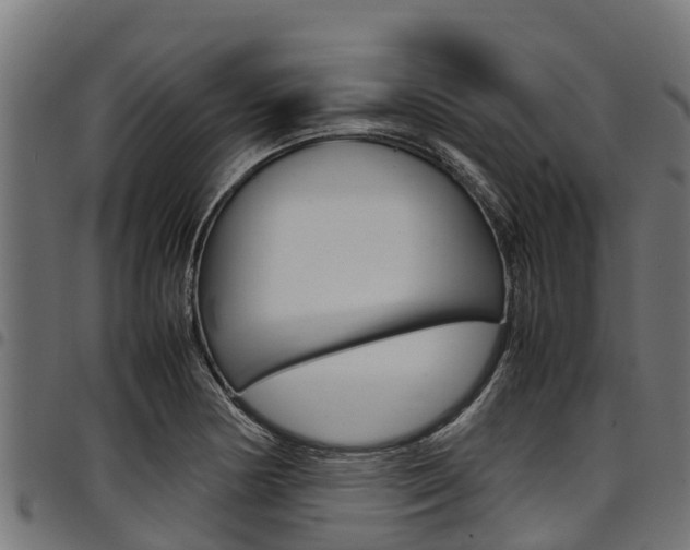 X0000098021178200803280747