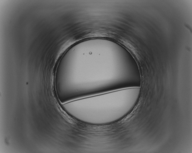 X0000098021179200803280747