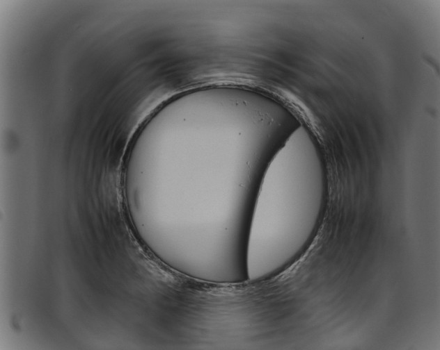 X0000098021182200803280747