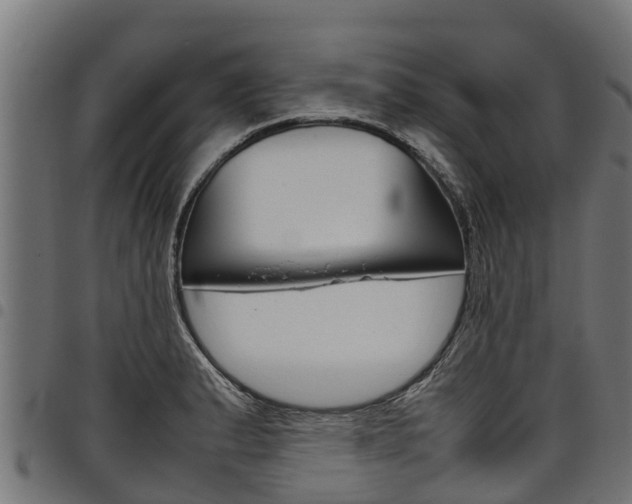 X0000098021183200803280746