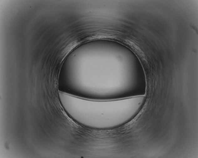 X0000098021185200803280746