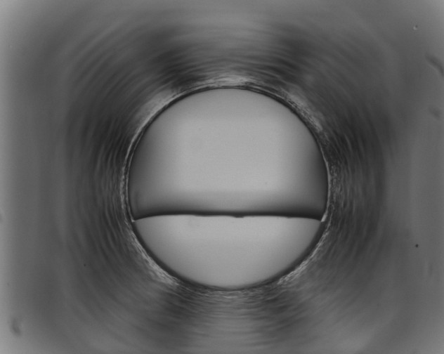 X0000098021186200803280746