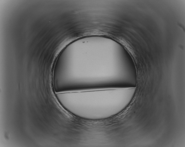 X0000098021187200803280746