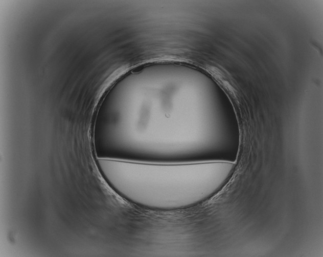 X0000098021189200803280746
