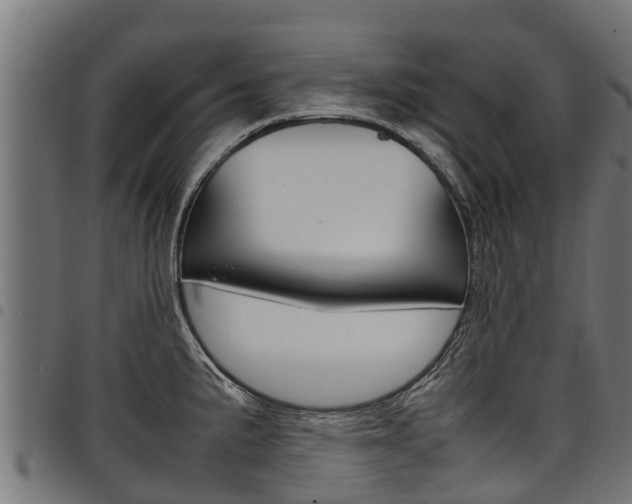 X0000098021191200803280746