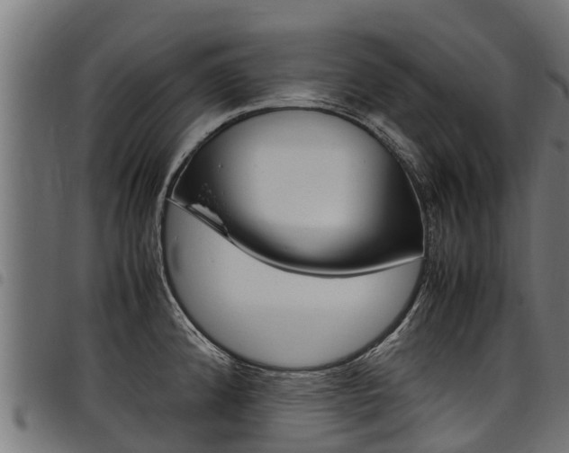 X0000098021192200803280746