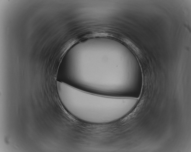 X0000098021193200803280746