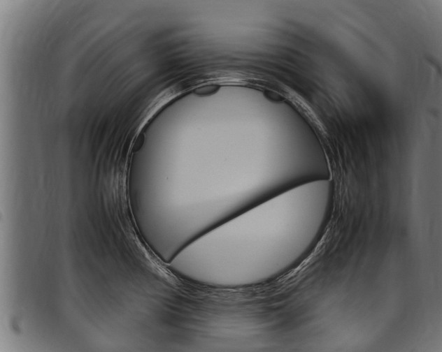 X0000098021194200803280746