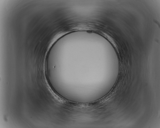 X0000098021195200803280746